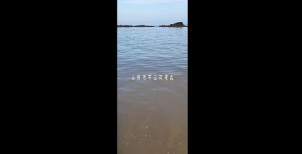 日照万平口风景区—泰安金辉国旅